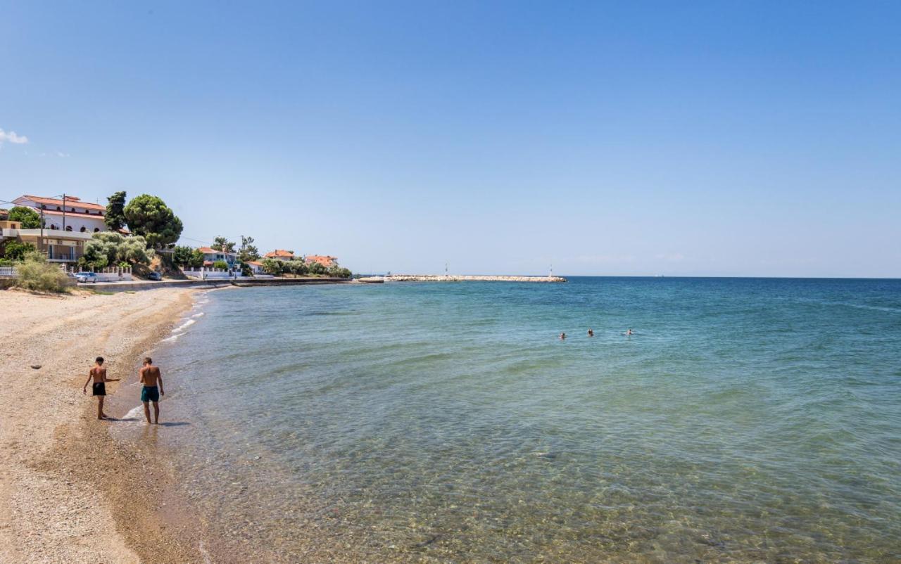 Ferienhaus 4 Iliopetra *